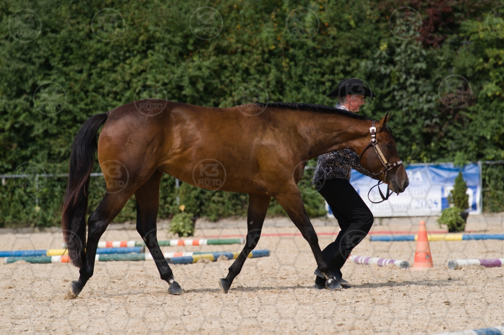 s_batch_A9_00109.jpg